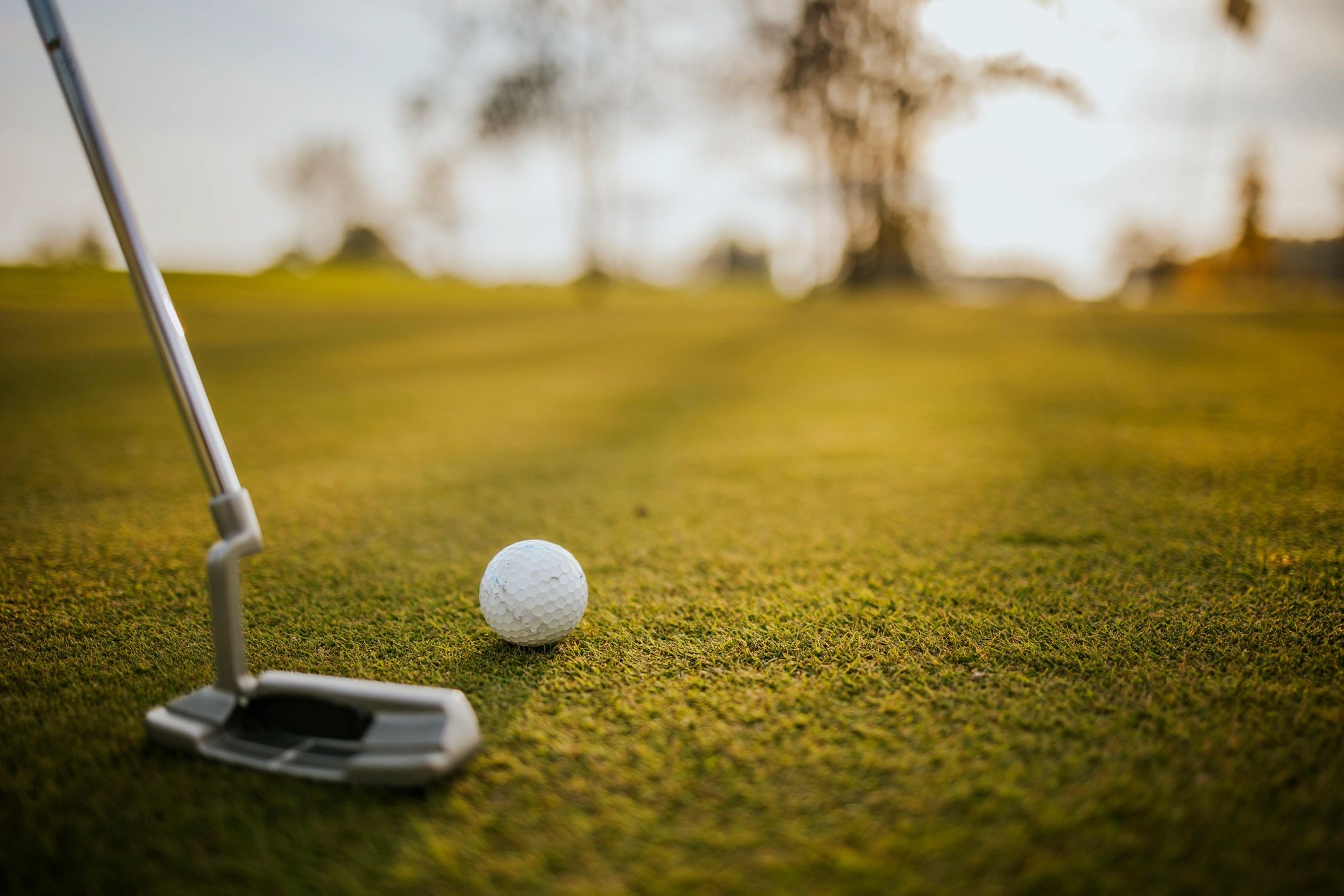 Golf putter and ball on a sunlit green